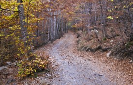 El valle de Estós en otoño