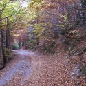 otoño en el valle de Estós