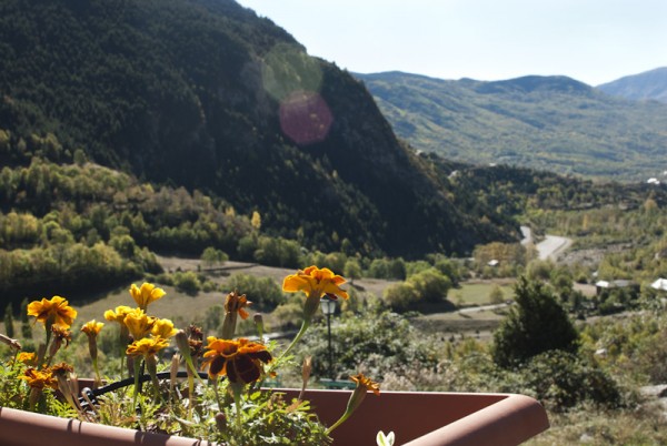 Terraza